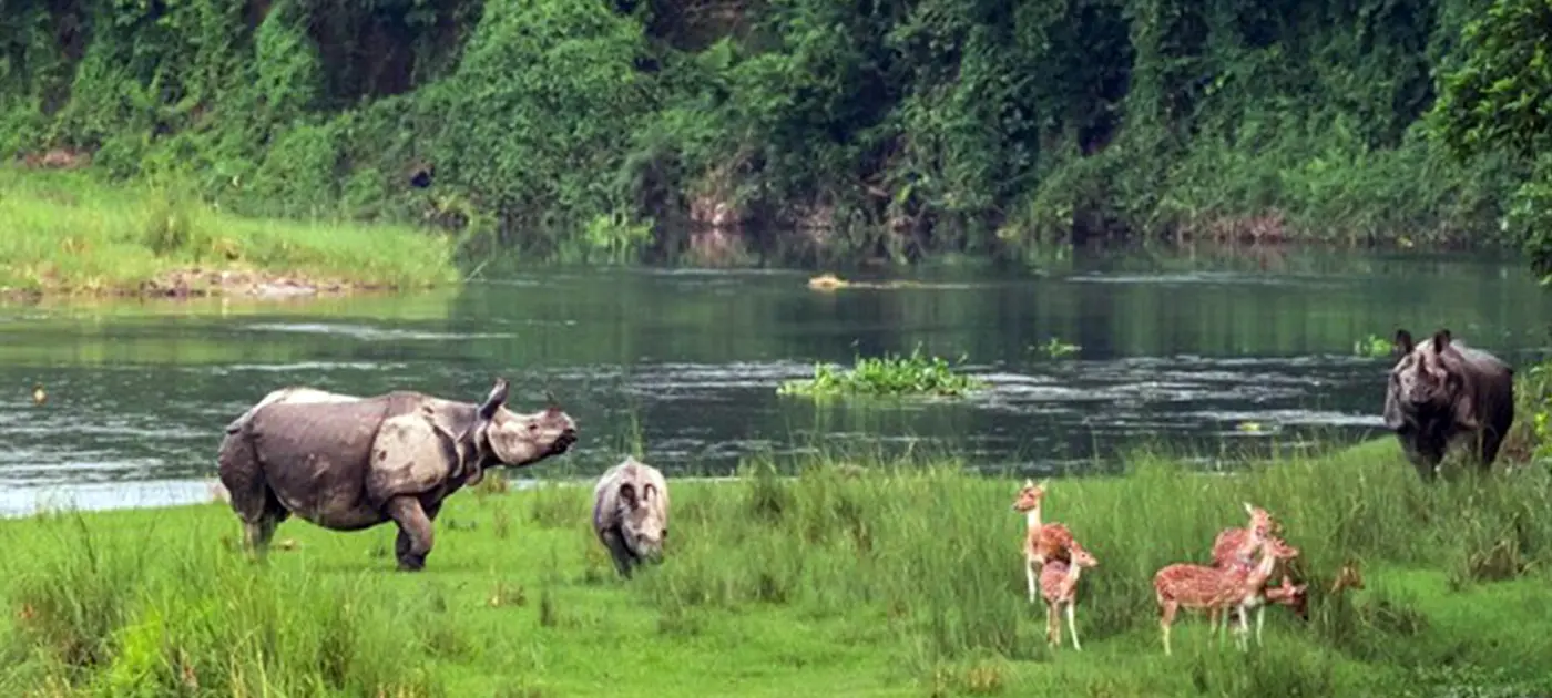 Chitwan